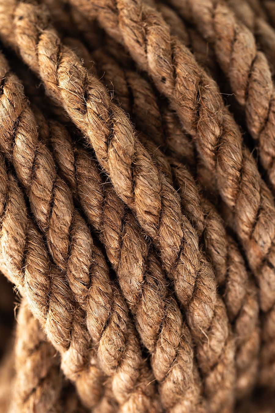 изображение_2025-01-23_161332183